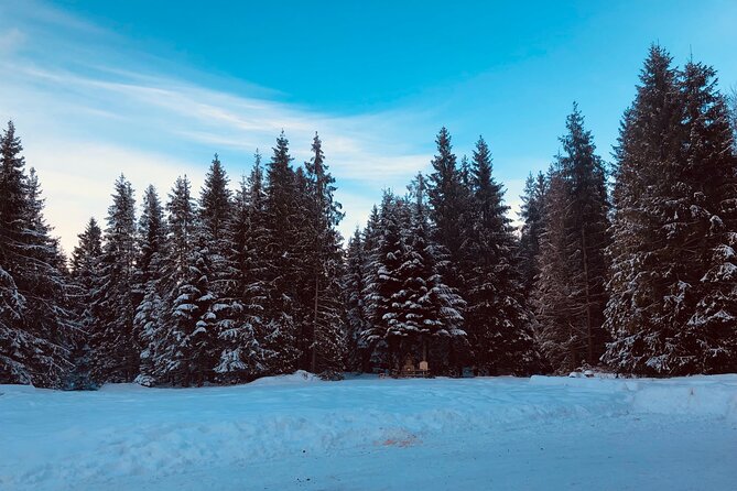 Zakopane & Sleigh Ride with Bonfire - Group Tour from Kraków - Why this Zakopane day trip works