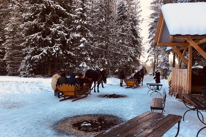 Zakopane & Sleigh Ride with Bonfire - Group Tour from Kraków - The bonfire meal is more than a snack