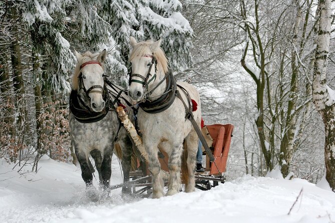 Zakopane & Sleigh Ride with Bonfire - Group Tour from Kraków - A guide can make the long day easier