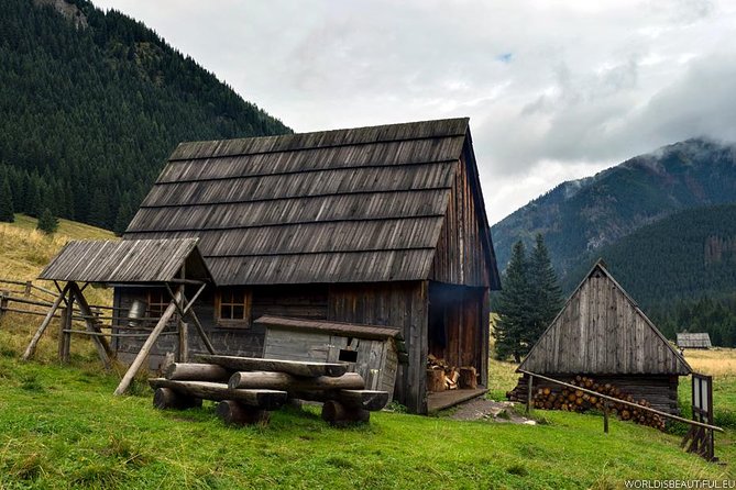 Zakopane & Thermal Springs: Private Tour - What the private vehicle and driver add