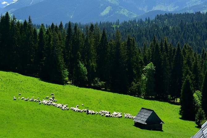 Zakopane Tour from Krakow – Highland Experience & Stunning Views - Why this Krakow day trip works