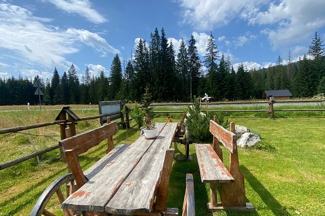 Zakopane Tour from Krakow with Thermal SPA and Hotel Pick up - The guide and group experience